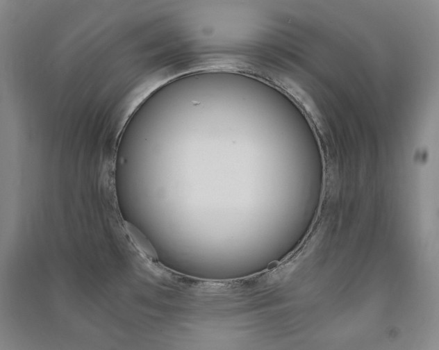 X0000091491481200708161200