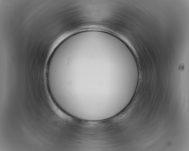 X0000091491482200708161200