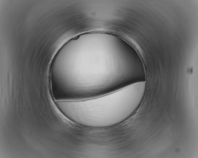 X0000091491483200708161200