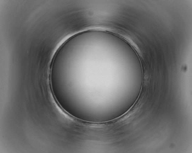 X0000091491484200708161200