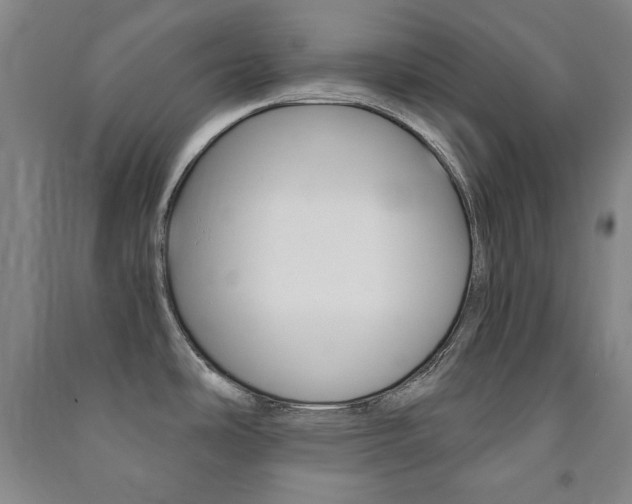 X0000091491486200708161200