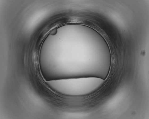 X0000091491487200708161200