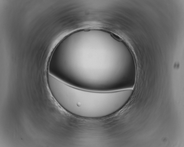 X0000091491488200708161200