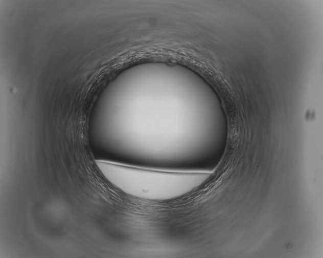 X0000091491490200708161159