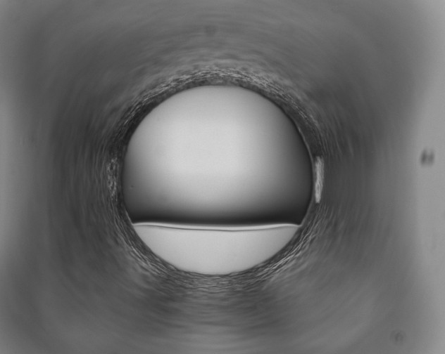 X0000091491491200708161159