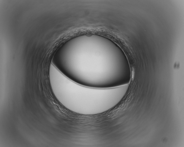 X0000091491492200708161159