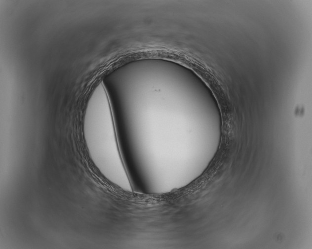 X0000091491493200708161159