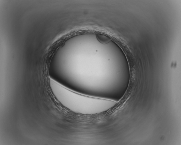 X0000091491494200708161159