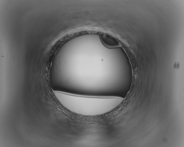 X0000091491495200708161159