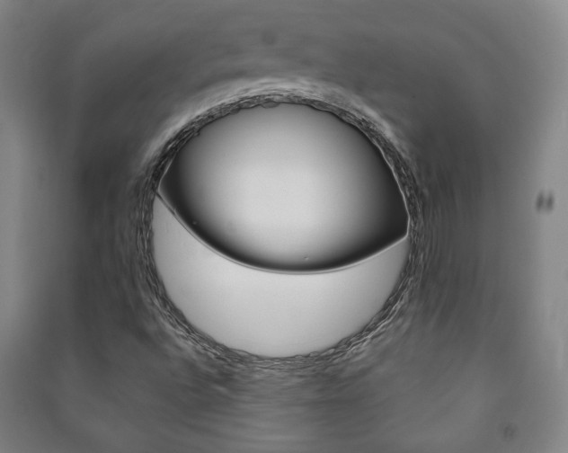 X0000091491496200708161159