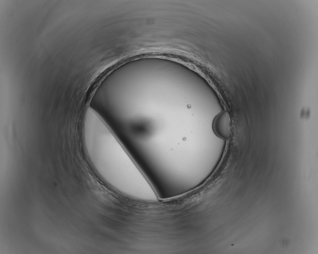 X0000091491497200708161159