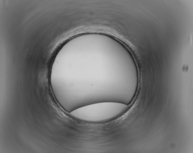 X0000091491498200708161200