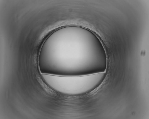 X0000091491499200708161200