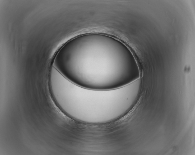 X0000091491500200708161200