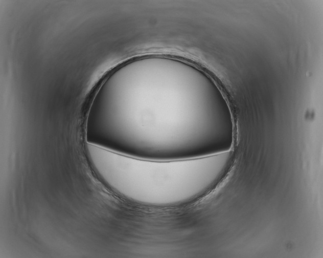 X0000091491501200708161200
