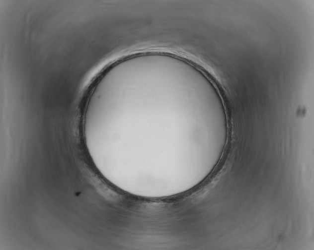 X0000091491502200708161200
