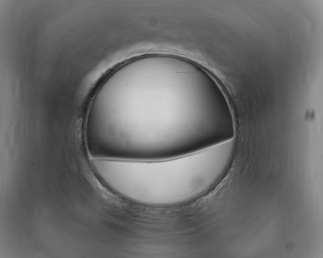 X0000091491503200708161200