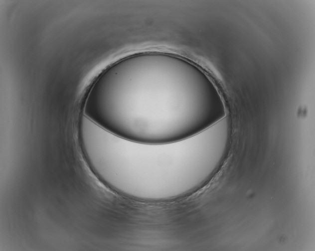 X0000091491504200708161200