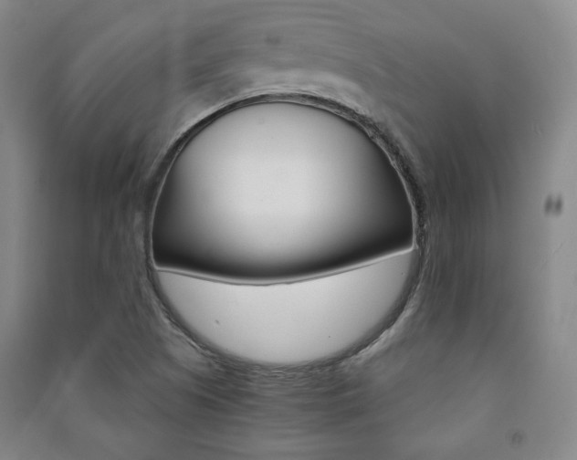 X0000091491505200708161200