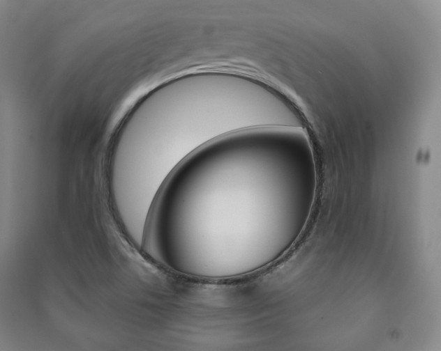 X0000091491506200708161200