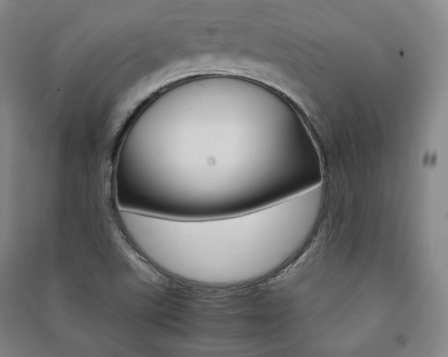 X0000091491507200708161200