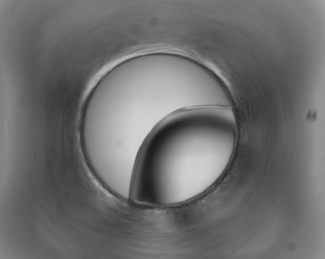 X0000091491508200708161200