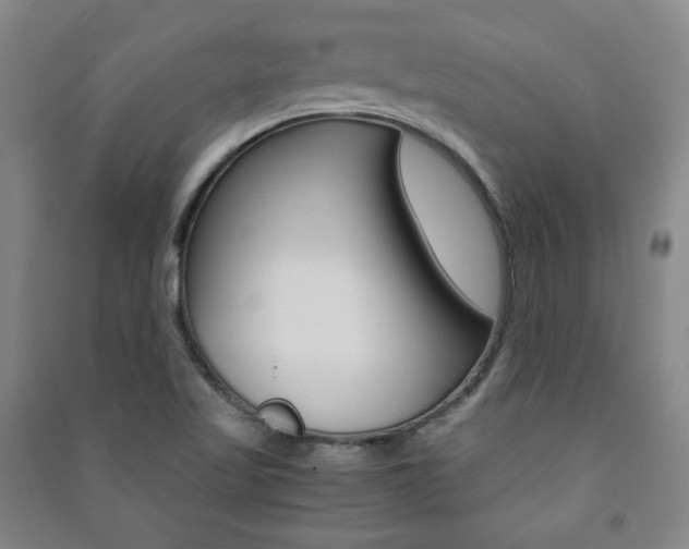 X0000091491509200708161200