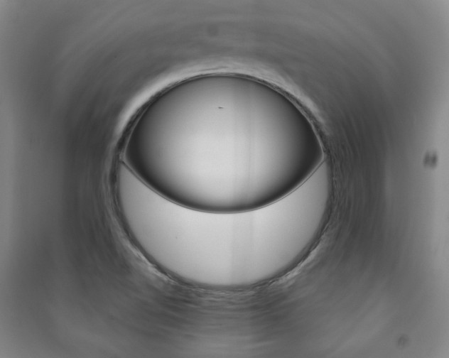 X0000091491510200708161200