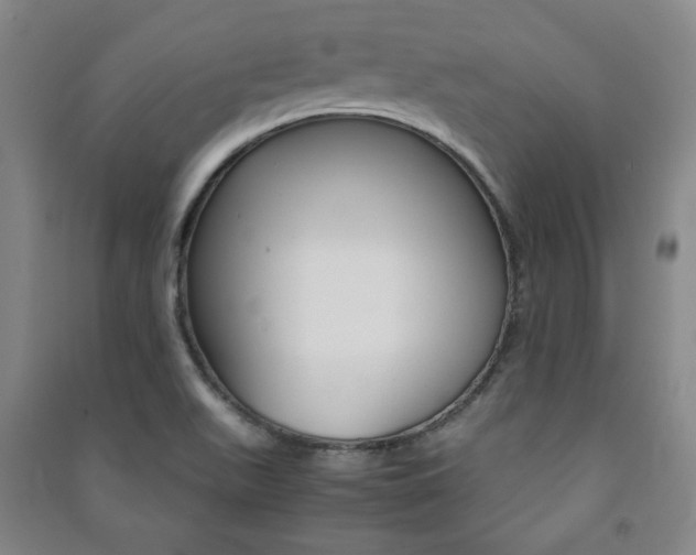X0000091491511200708161200