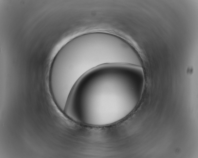 X0000091491512200708161200