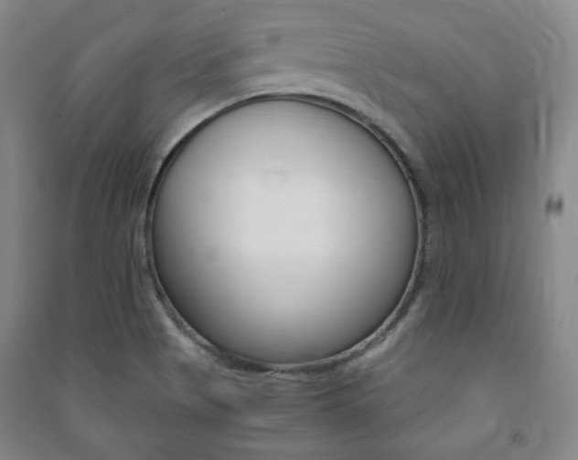 X0000091491513200708161200