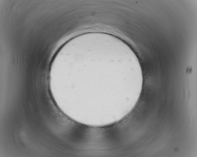 X0000091491514200708161200