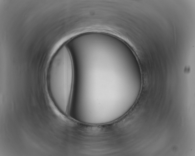 X0000091491515200708161200
