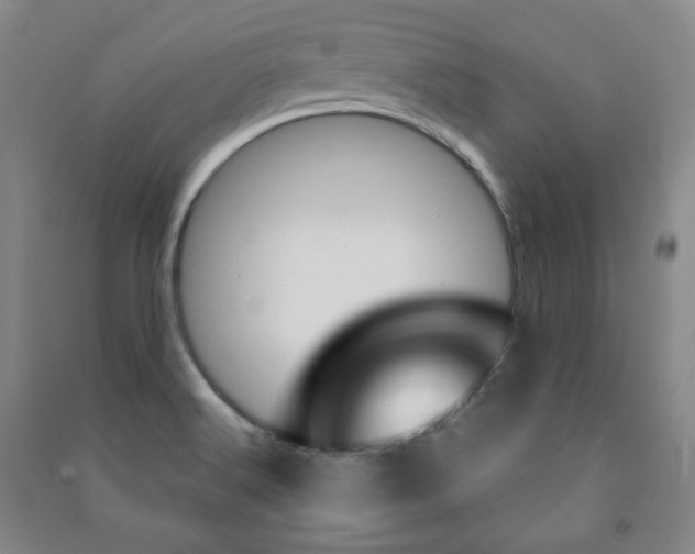X0000091491516200708161200