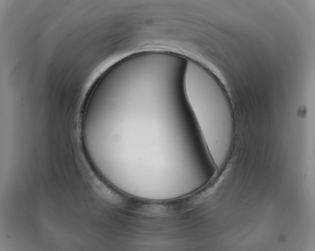 X0000091491517200708161200