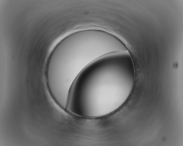 X0000091491518200708161200