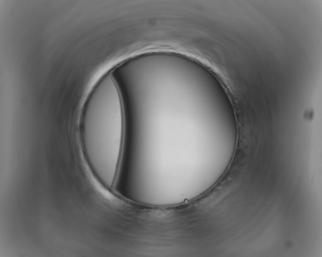 X0000091491519200708161200