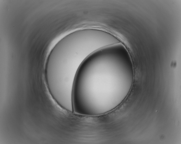 X0000091491520200708161200