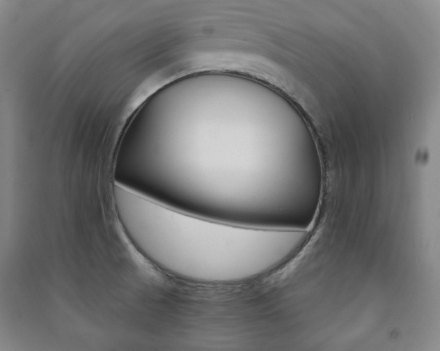 X0000091491521200708161200