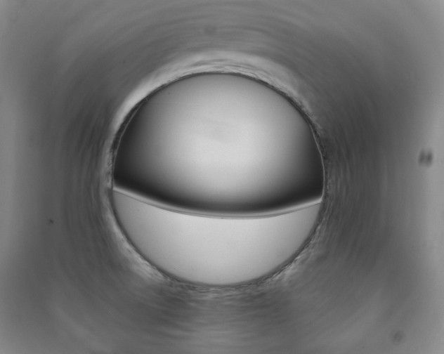 X0000091491522200708161200