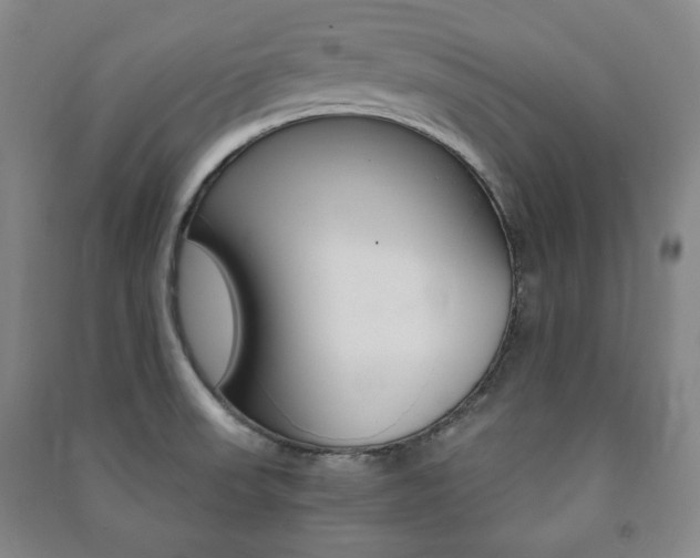 X0000091491523200708161200