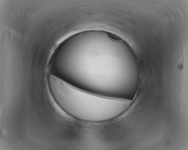 X0000091491526200708161200