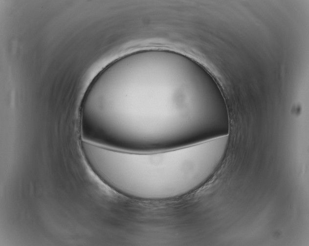 X0000091491527200708161200
