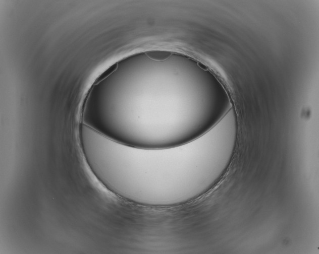 X0000091491528200708161200