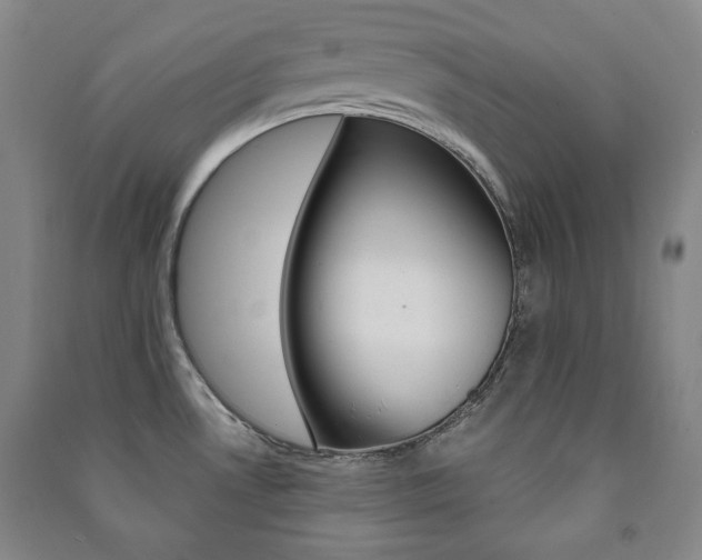 X0000091491530200708161200