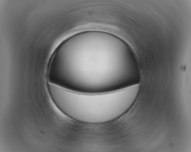 X0000091491531200708161200