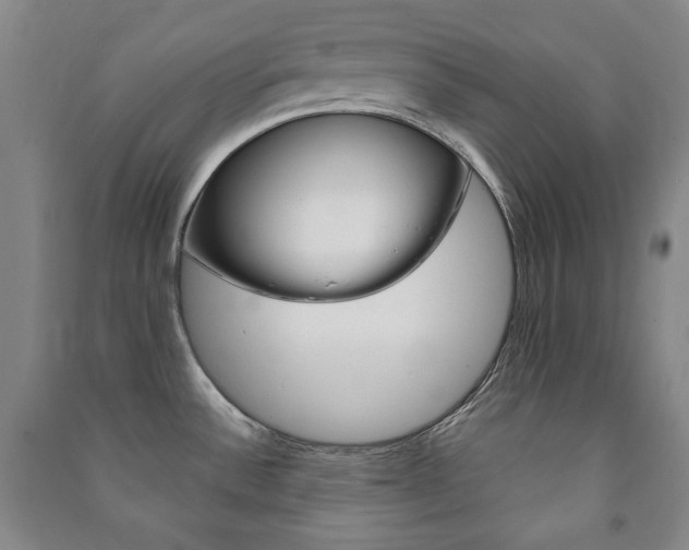 X0000091491532200708161200