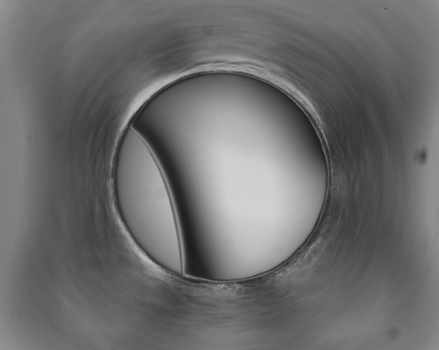 X0000091491533200708161200