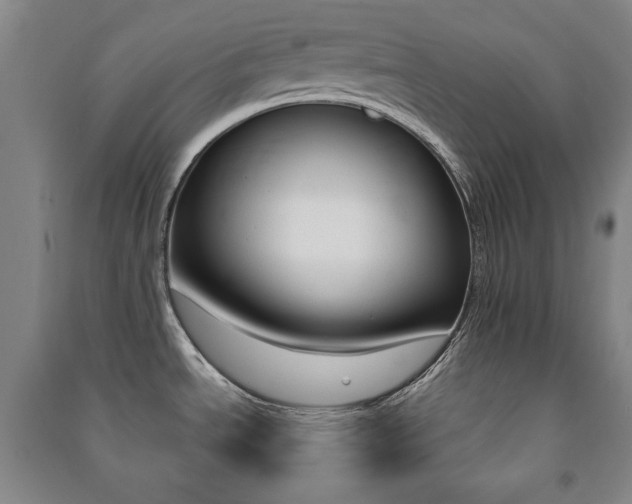 X0000091491534200708161200