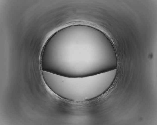 X0000091491535200708161200